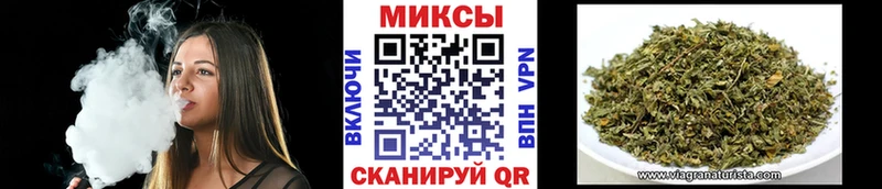 закладка Кашин Бутират буратино