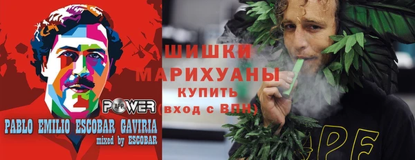 эйфоретик Арсеньев