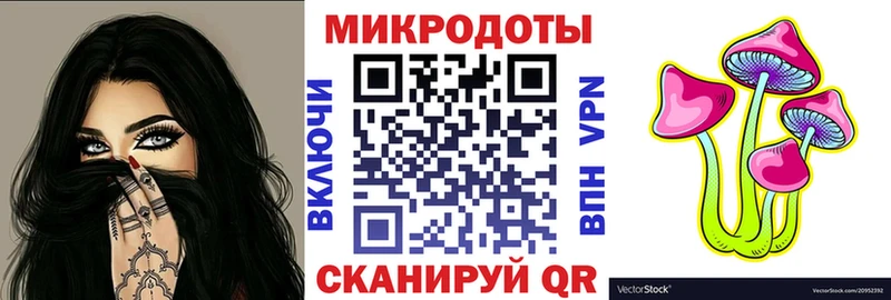 Псилоцибиновые грибы GOLDEN TEACHER  где купить наркоту  Кашин 